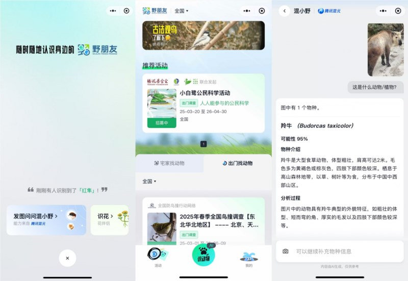 騰訊 “野朋友計劃” 攜手混元 手機(jī)變身全民生態(tài)保護(hù) “智能助手”